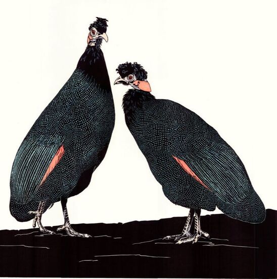 Crested Guineafowl - linocut by Vida Pearson
